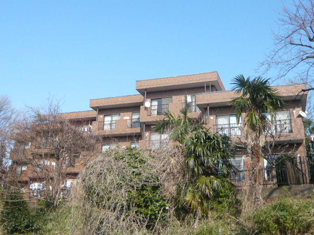 ヒルハイツ妙蓮寺