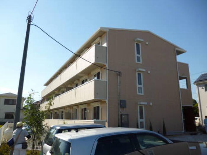 プルメリア・グレイス