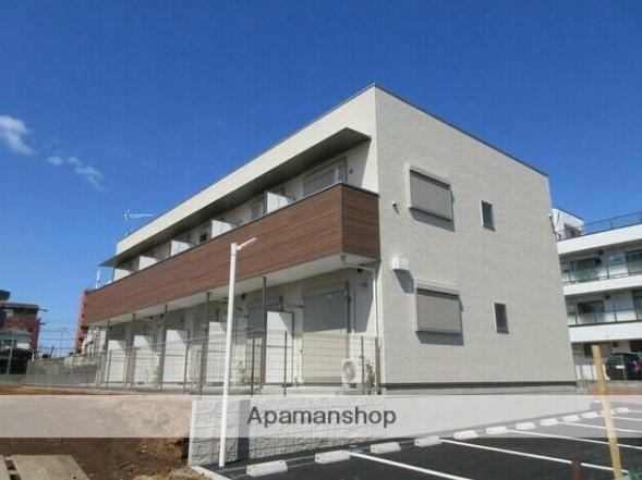 ADORABLE樹