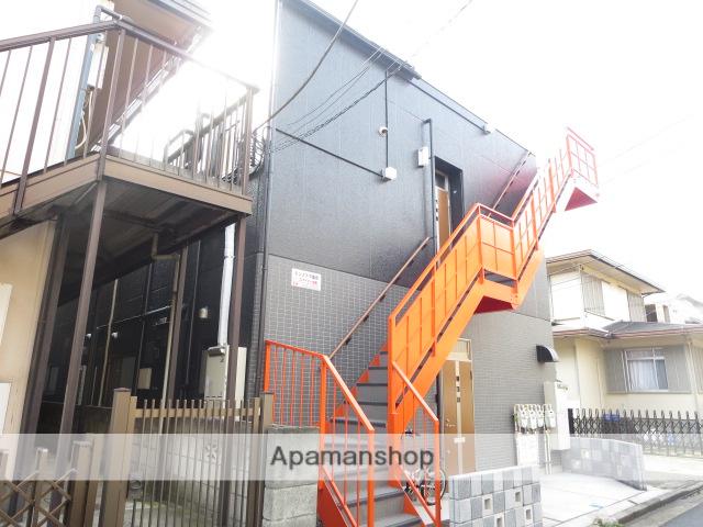 モンステラ菊名