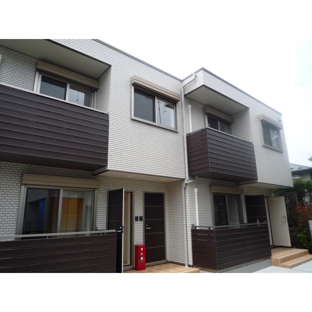 シェルティー菊名