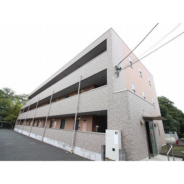 アンプルールフェールドリーミ