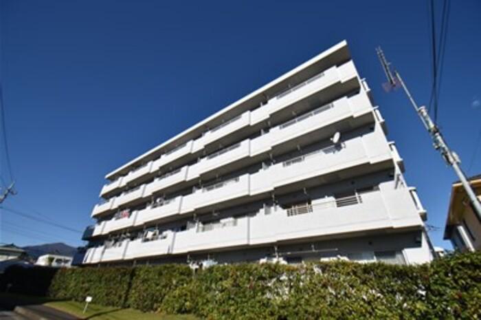 BELLEVUE参番館(3LDK/3階)