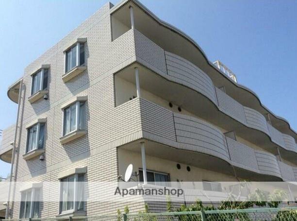 チェリーブロッサム