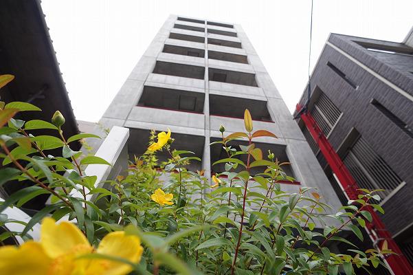 リブリ・新丸子