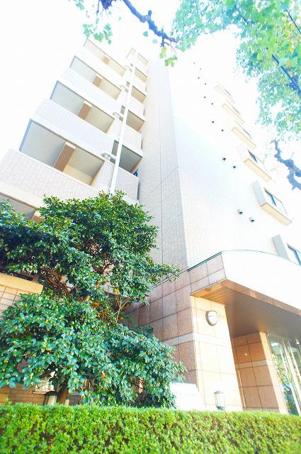 ベルデュール宮前平(1LDK/5階)