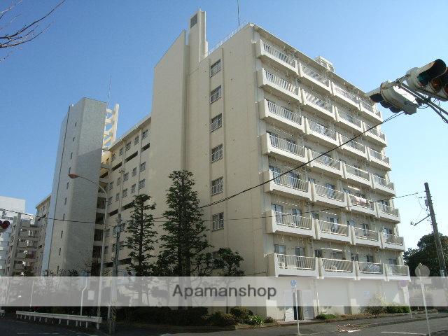 東急ドエルフェニックス(2LDK/3階)