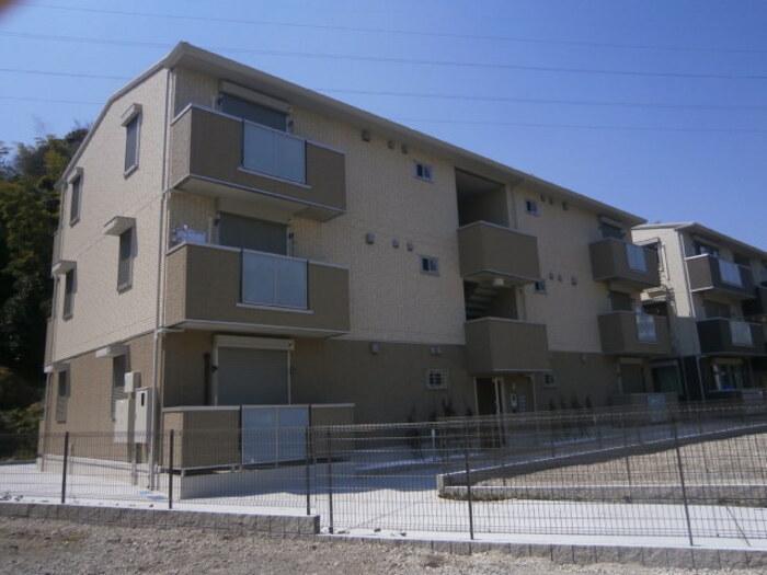 TORTUGA C