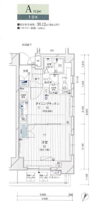 メインステージ川崎VIIアイディアル 4階階 間取り