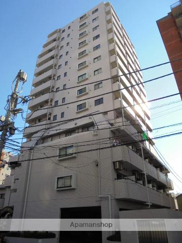 ライオンズプラザ平塚(ワンルーム/11階)