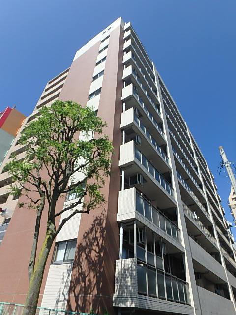 PRIMAL MACHIDA
