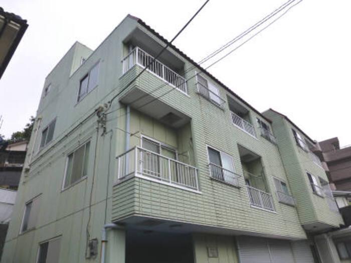 ゼフィルス花の木