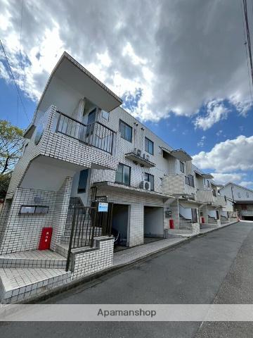 ビスコンティ成瀬