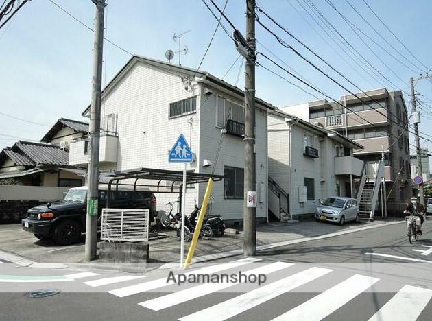 ゴールドクレスト