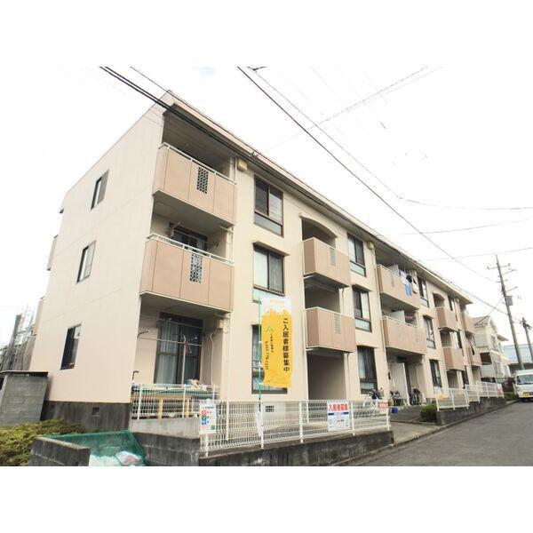 ハイムサエグサ D