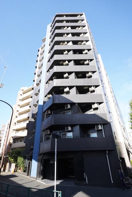 CYNTHIA FOUR-D GOTANDA-ウエスト