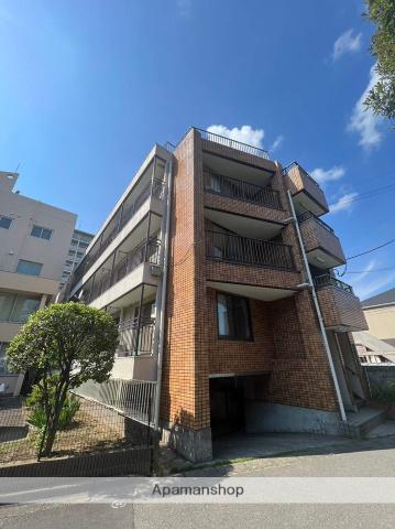 第1プリマス幸(2LDK/3階)