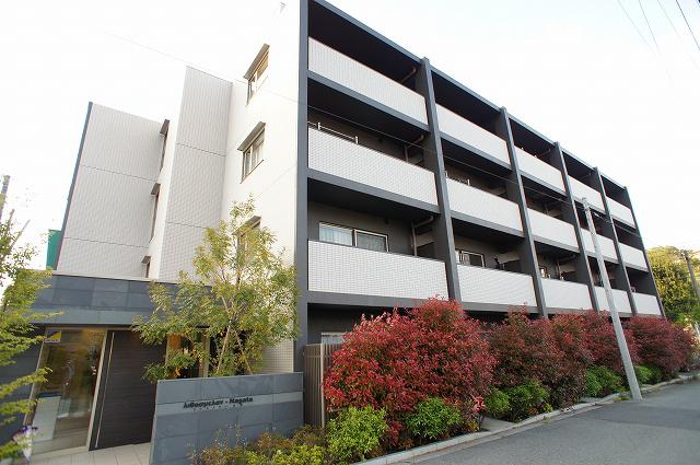 リトスメラン永田