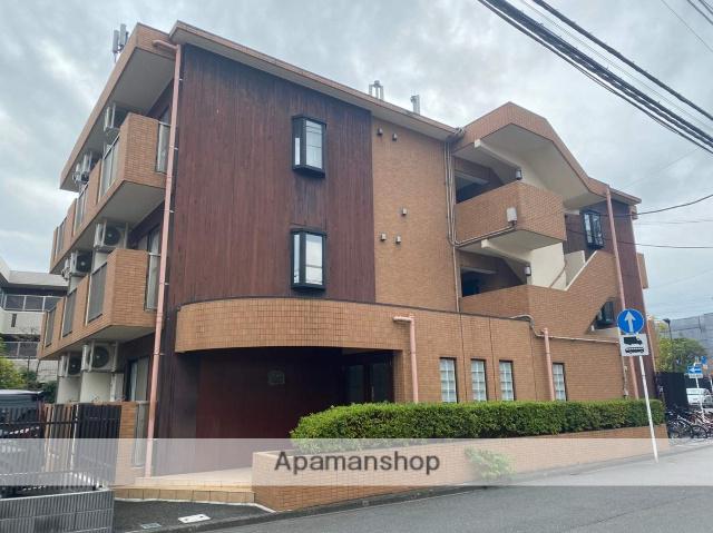 ネオムサシコスギ