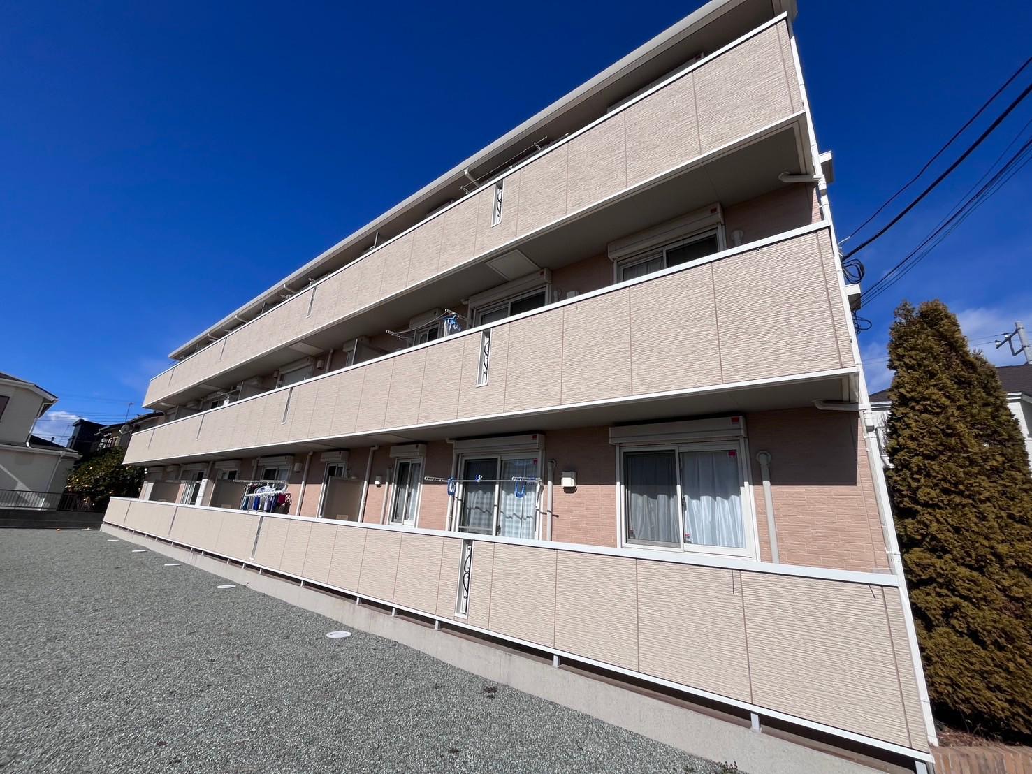 プルメリア・グレイス