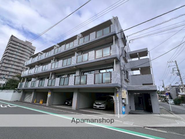 ヴェル・ドミール