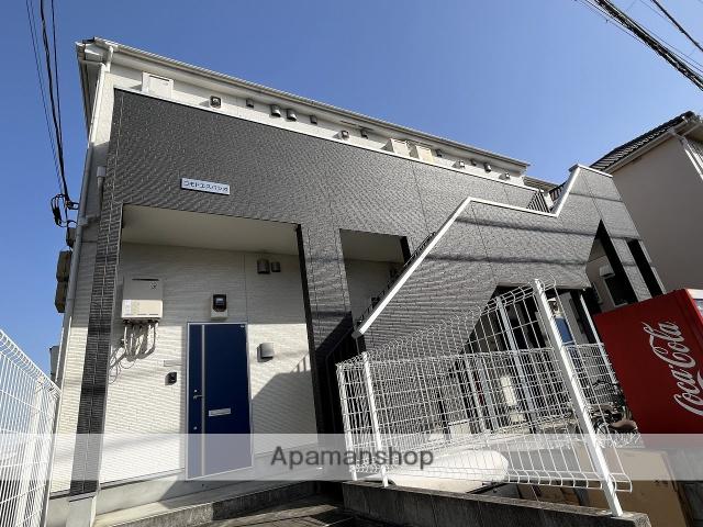 コモドエスパシオ