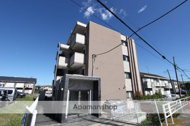 セレスティアル アスカ