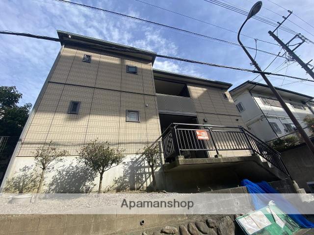 スコイアットリーノ