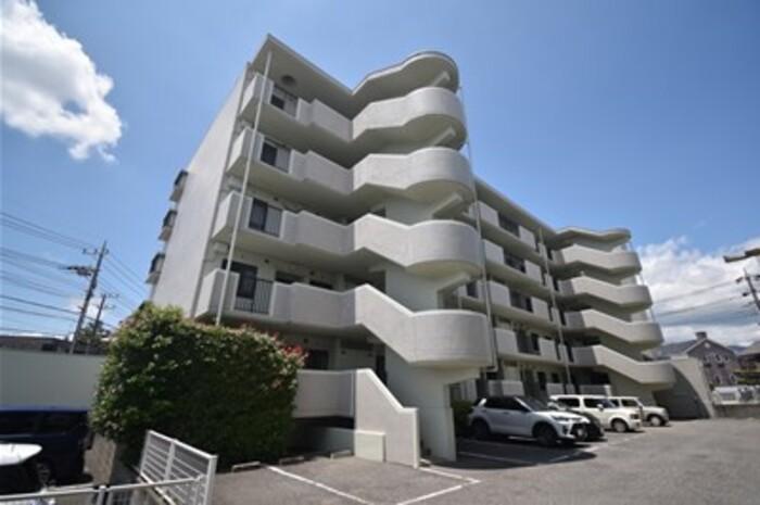 ハイドランジア