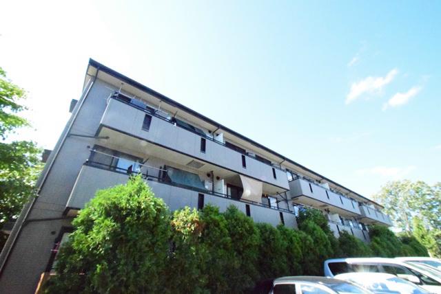 アルファタウン秦野新町 B棟(2LDK/1階)