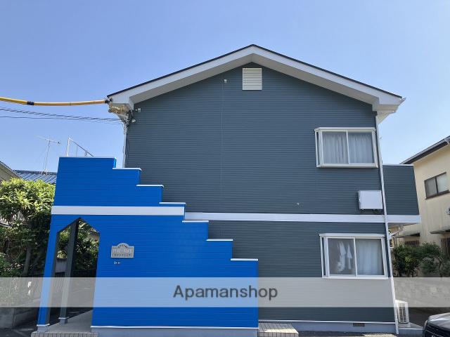 パインウェイブ