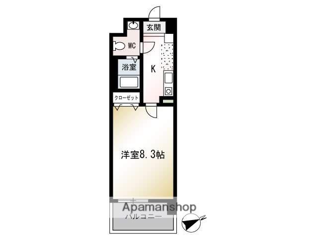 セレスティアル アスカ(1K/3階)の間取り写真