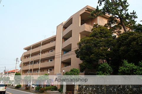 エルパティオ東海岸