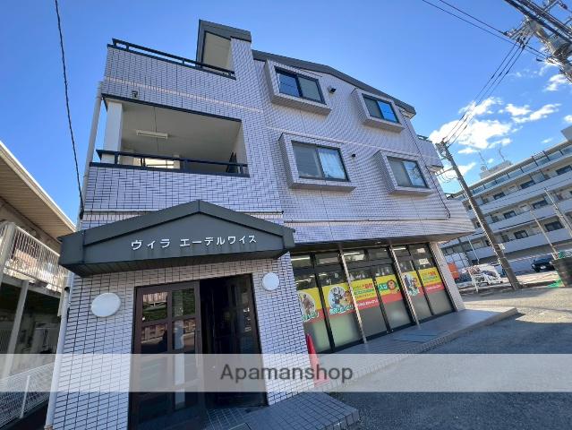 ヴィラエーデルワイス