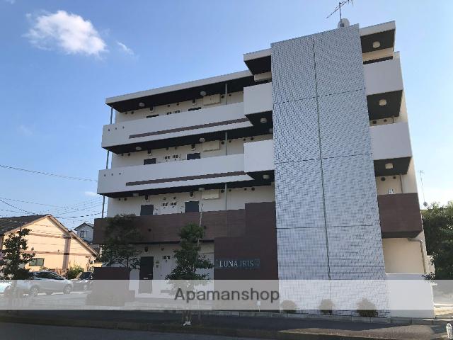 ルナアイリス