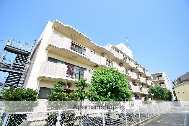 ダンデライアン鵠沼