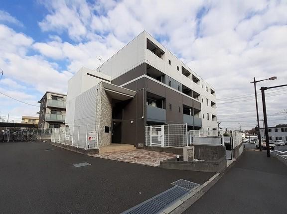 アングロ フェリーチェ