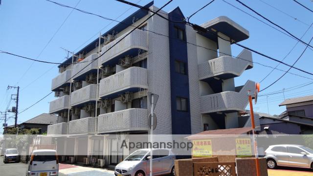 フリージア