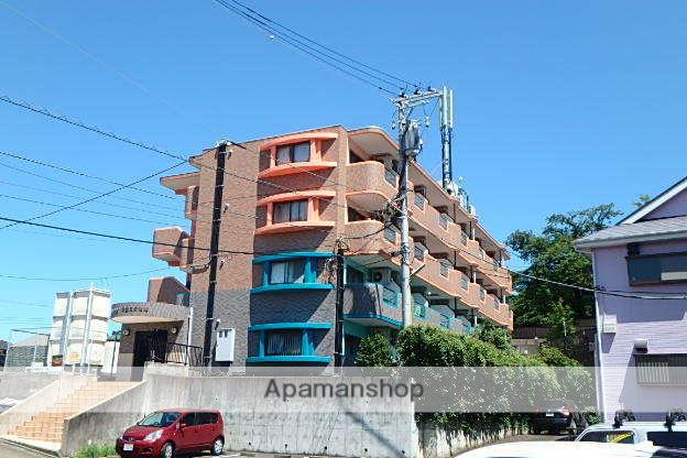 セレッソクエスタ湘南