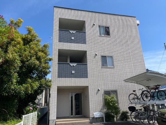 アオイリオーサ