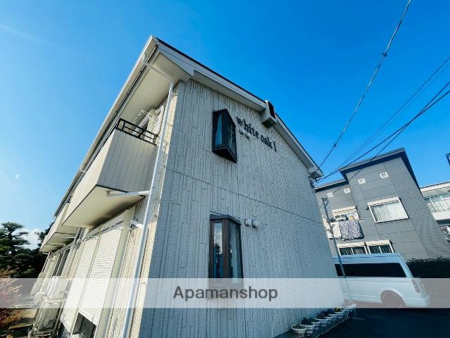 ホワイトオーク1