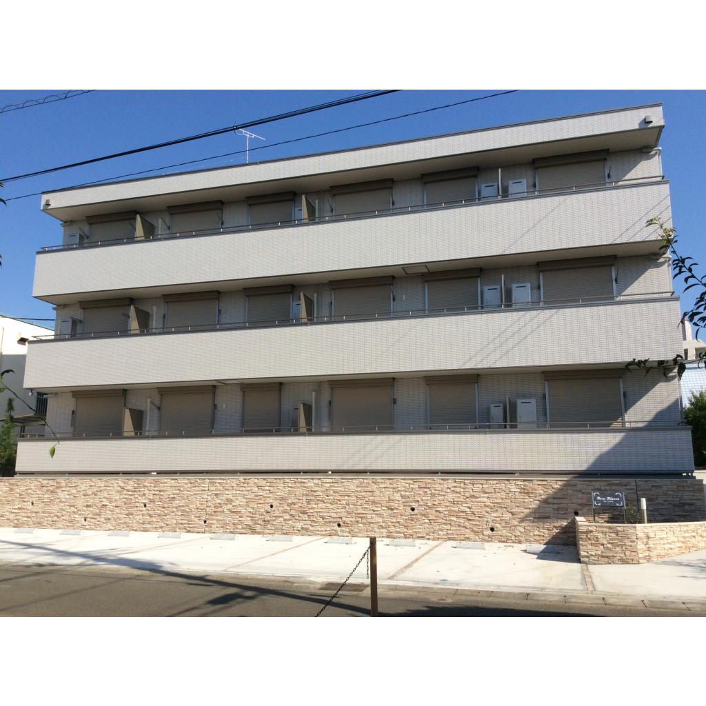 ROSA BLANCA 
