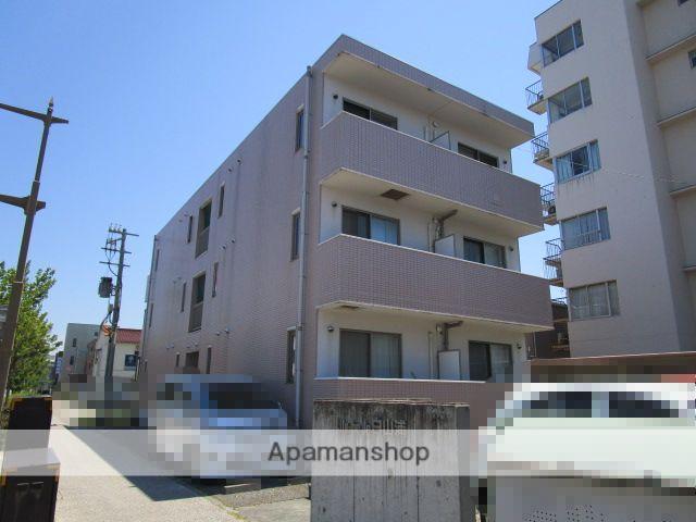 LILY-BE JE 白山浦