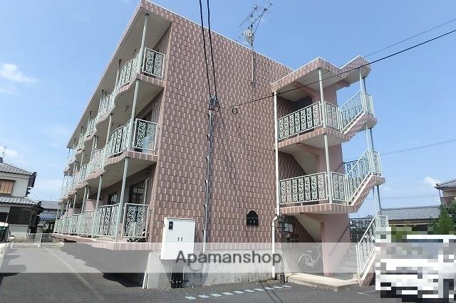 ニュージーニアス向陽