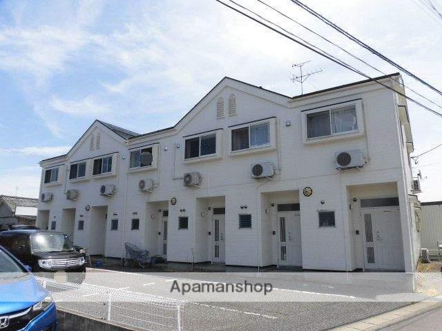 ニューホワイト