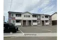 はなみずき