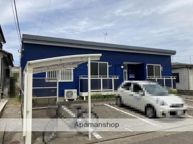 フラットピット(1LDK/1階)