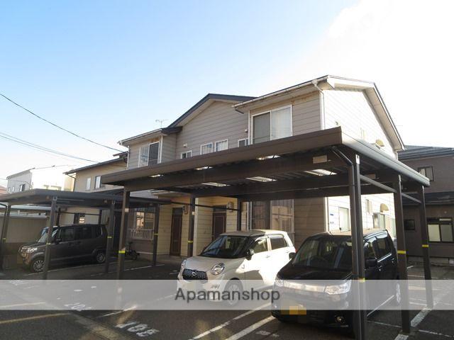 サンフラワー黄金