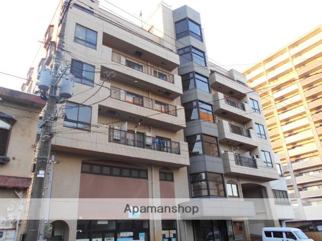 ノーベルウジタ