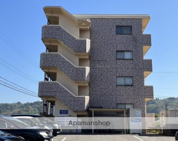 ラピスラズリⅤ(1K/1階)